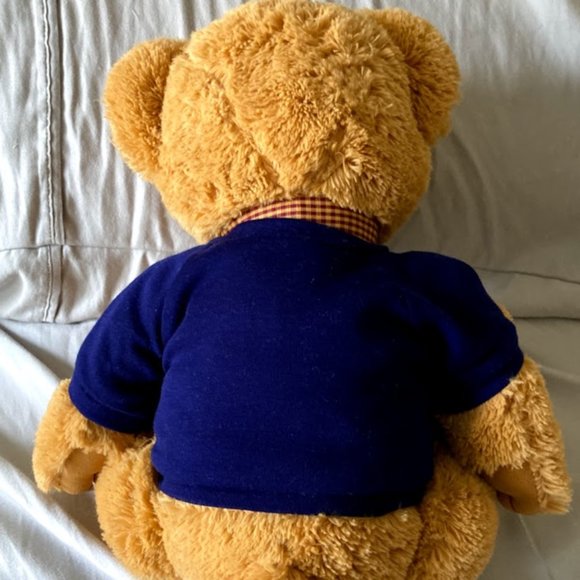 John Hancock Teddy Bear w/ Sweater 13" Plush Stuffed Toy New - Picture 5 of 9